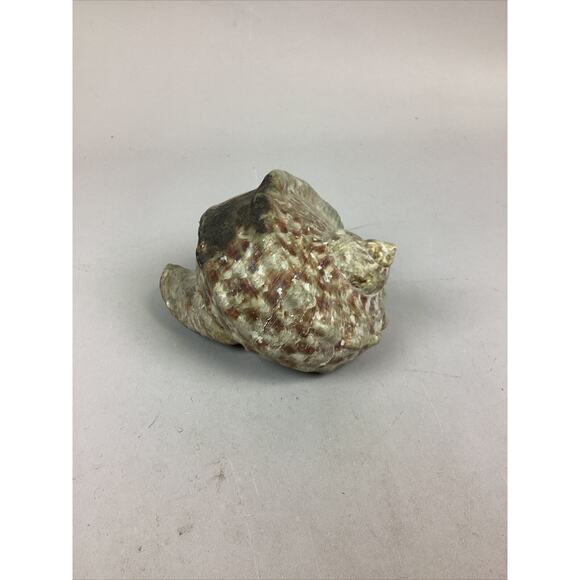 Medium-Large Sized Natural Conch Seashell - Picture 2 of 6
